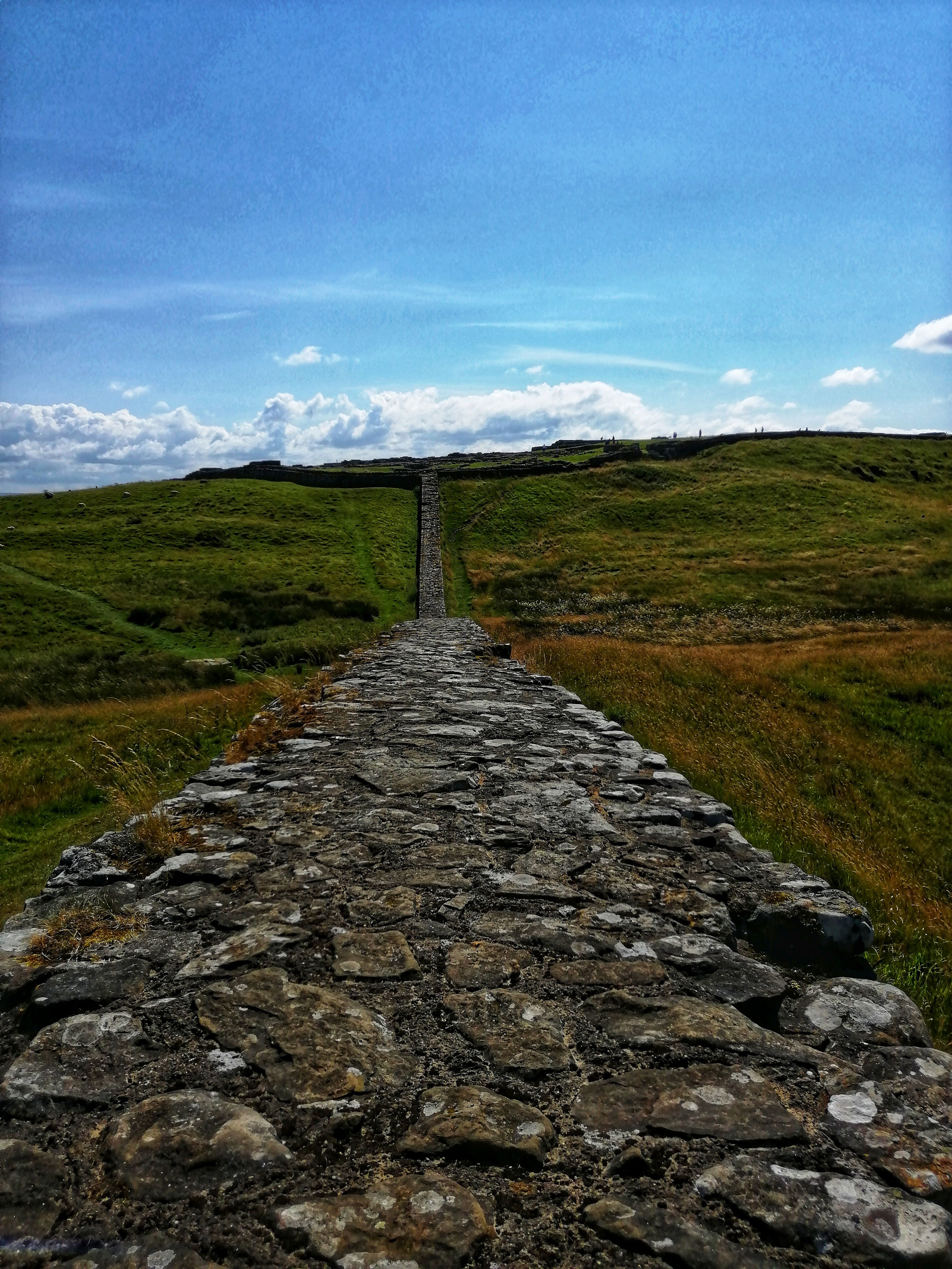 A scenic view of Hadrian's Wall stretching through the green hills under a blue sky in England.