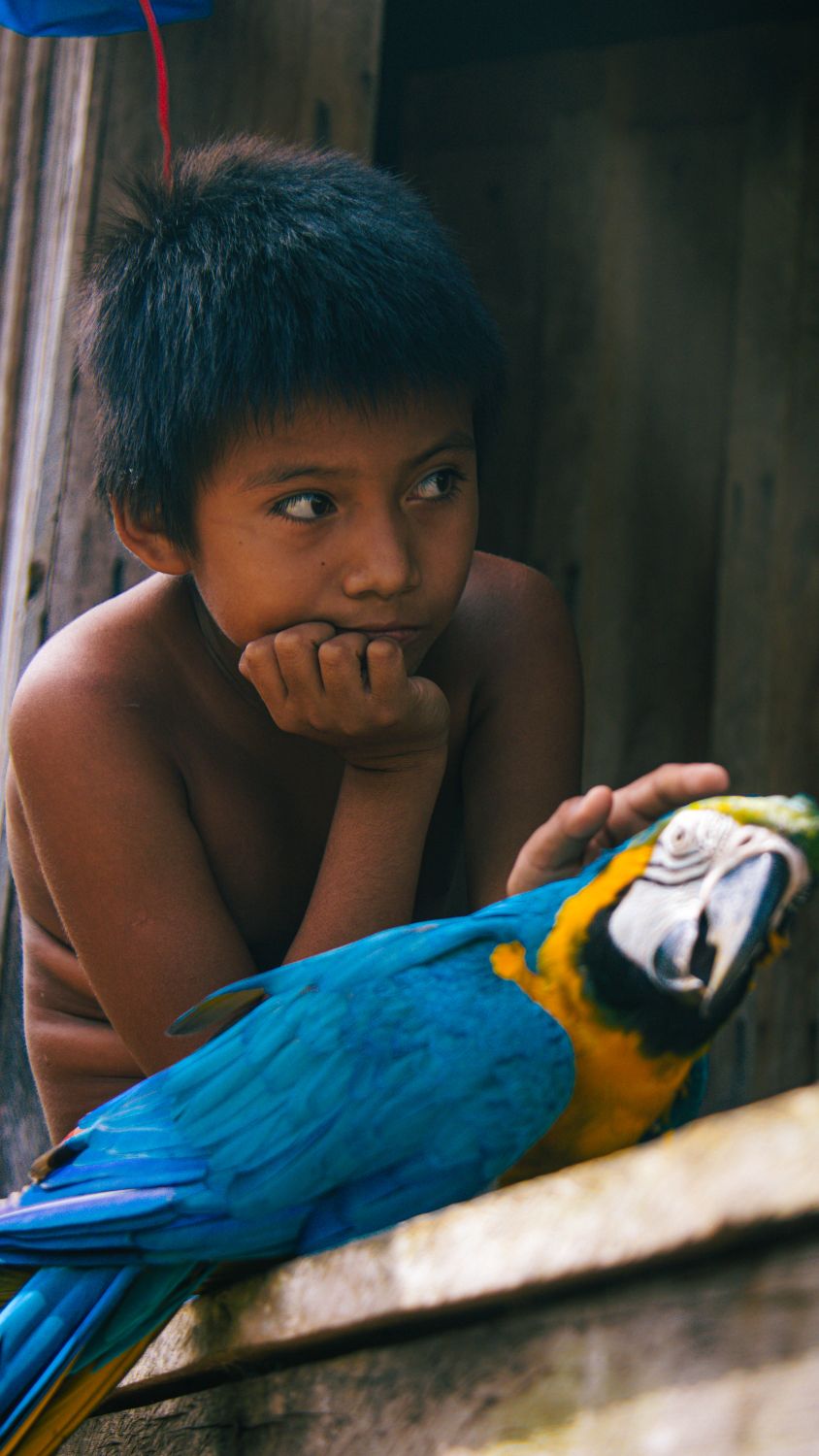 Azul Rural Criança E Arara Azul Em Ambiente Rural · Foto profissional gratuita