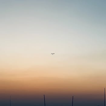 Minimalist photograph of a bird flying solo in the colorful dusk sky.