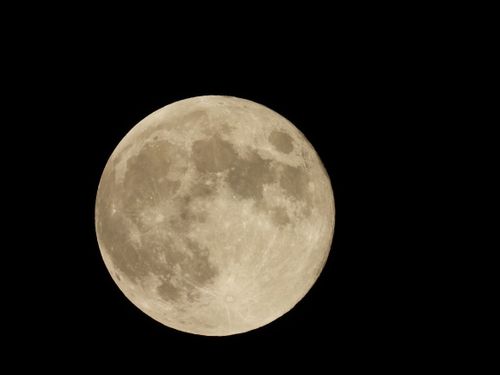 Free A detailed full moon captured with craters and mare visible, set against a stark black night sky. Stock Photo