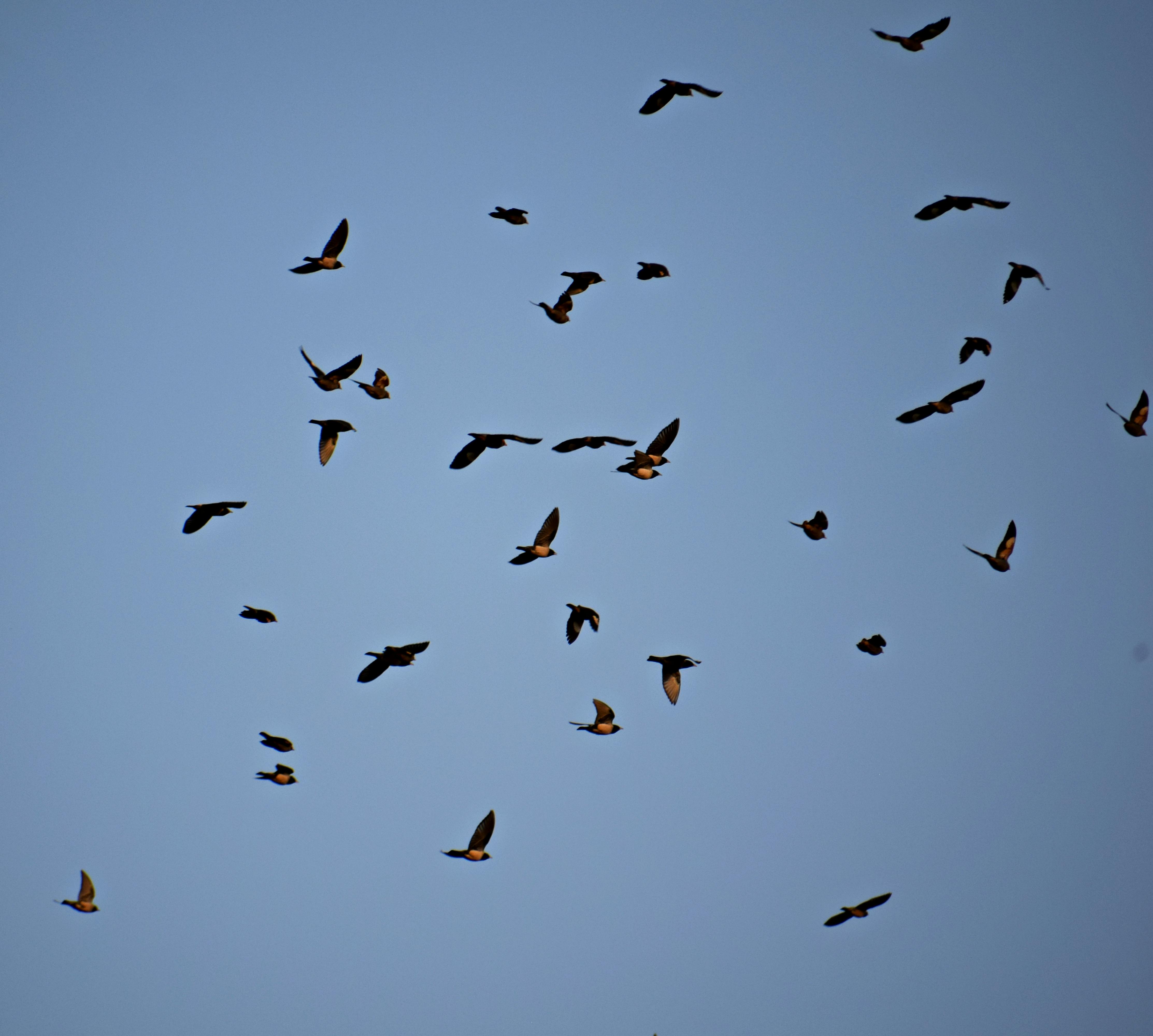 digital nomad budgeting and working remotely while traveling