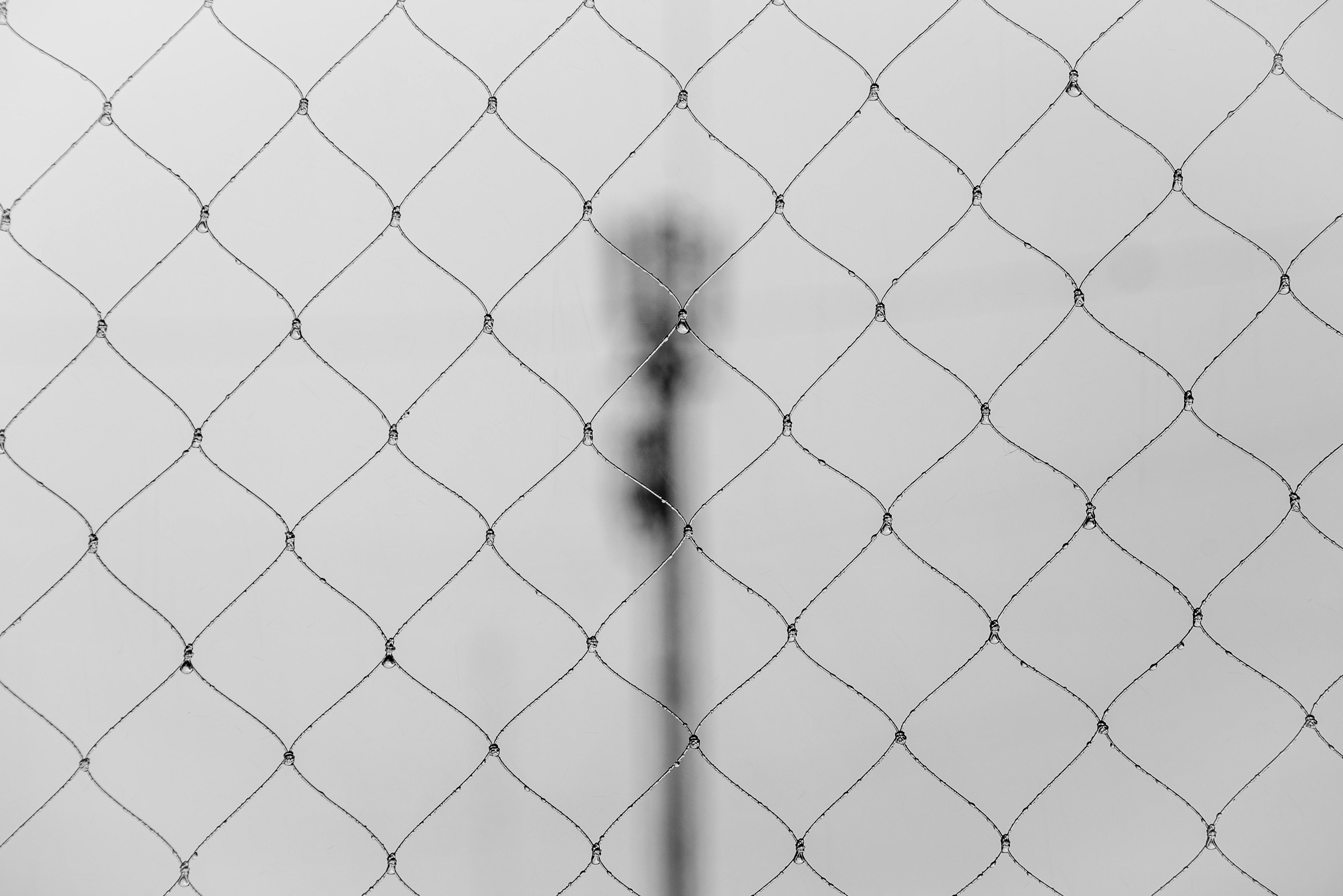 Free Black and white image of a wire fence with a blurred city background in Buenos Aires. Stock Photo