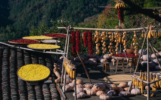 Rustic scene of vegetables and fruits drying outdoors, showcasing traditional methods.