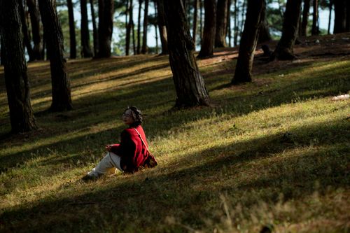 Free A woman enjoys a peaceful moment seated in a sunlit forest in Hà Giang, Vietnam. Stock Photo