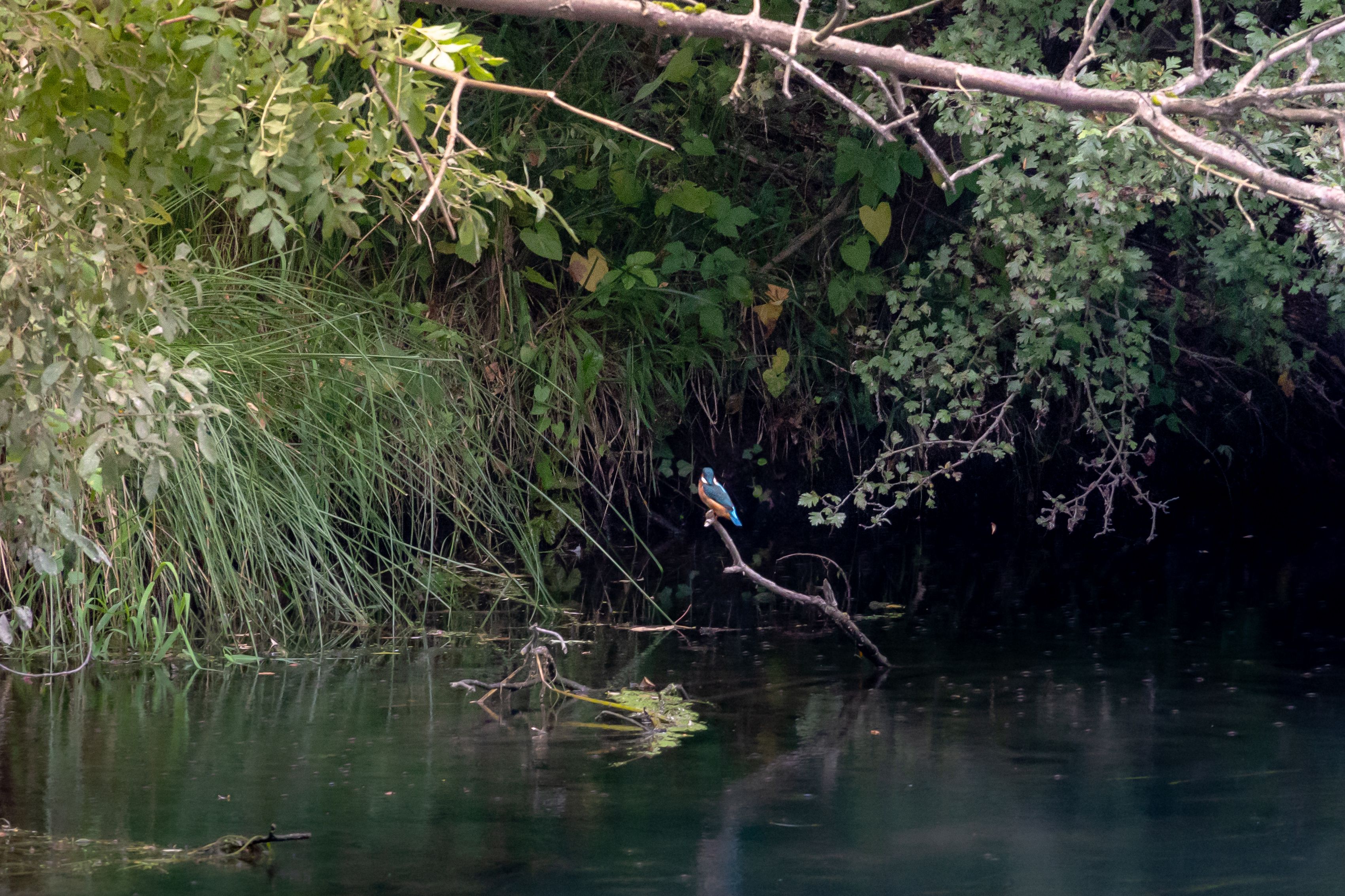 Lake Duluti