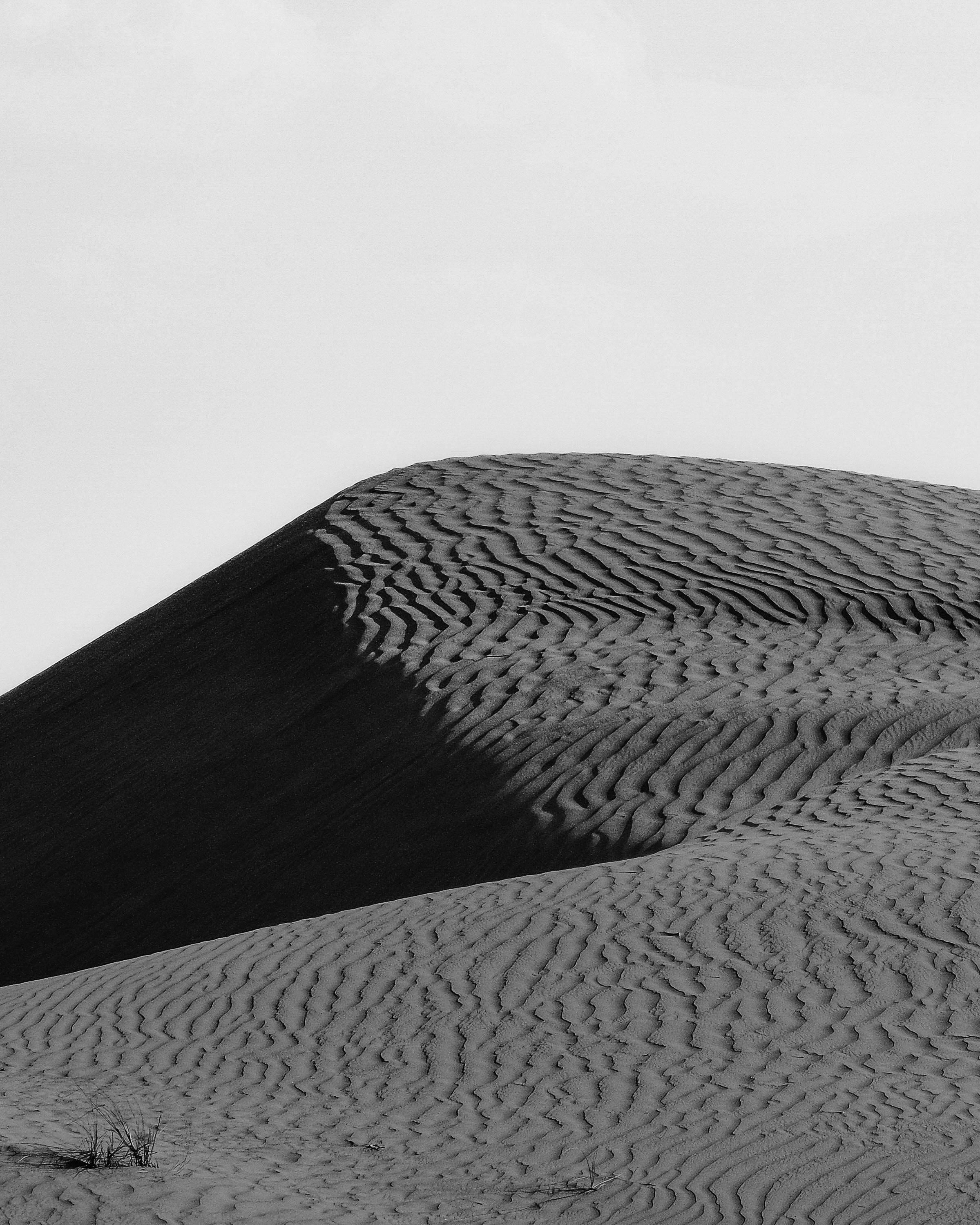 Monochrome sand dunes with intricate patterns under soft sunlight in a serene desert setting.