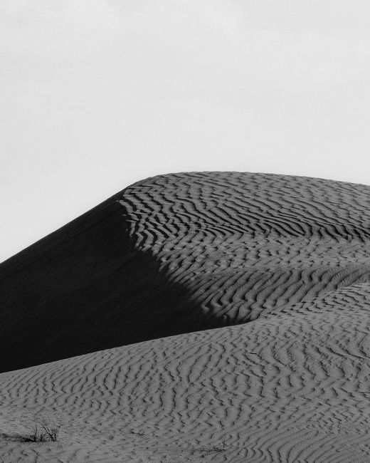 Monochrome sand dunes with intricate patterns under soft sunlight in a serene desert setting.