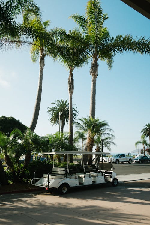 Parked Golf Cart Beside Trees and Plants during Day