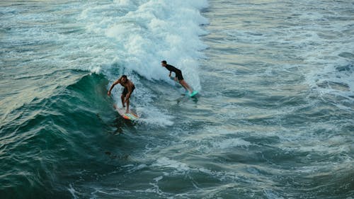 Surfers on Wave