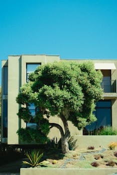Contemporary house exterior featuring a lush tree and minimalist landscape under clear blue summer skies.