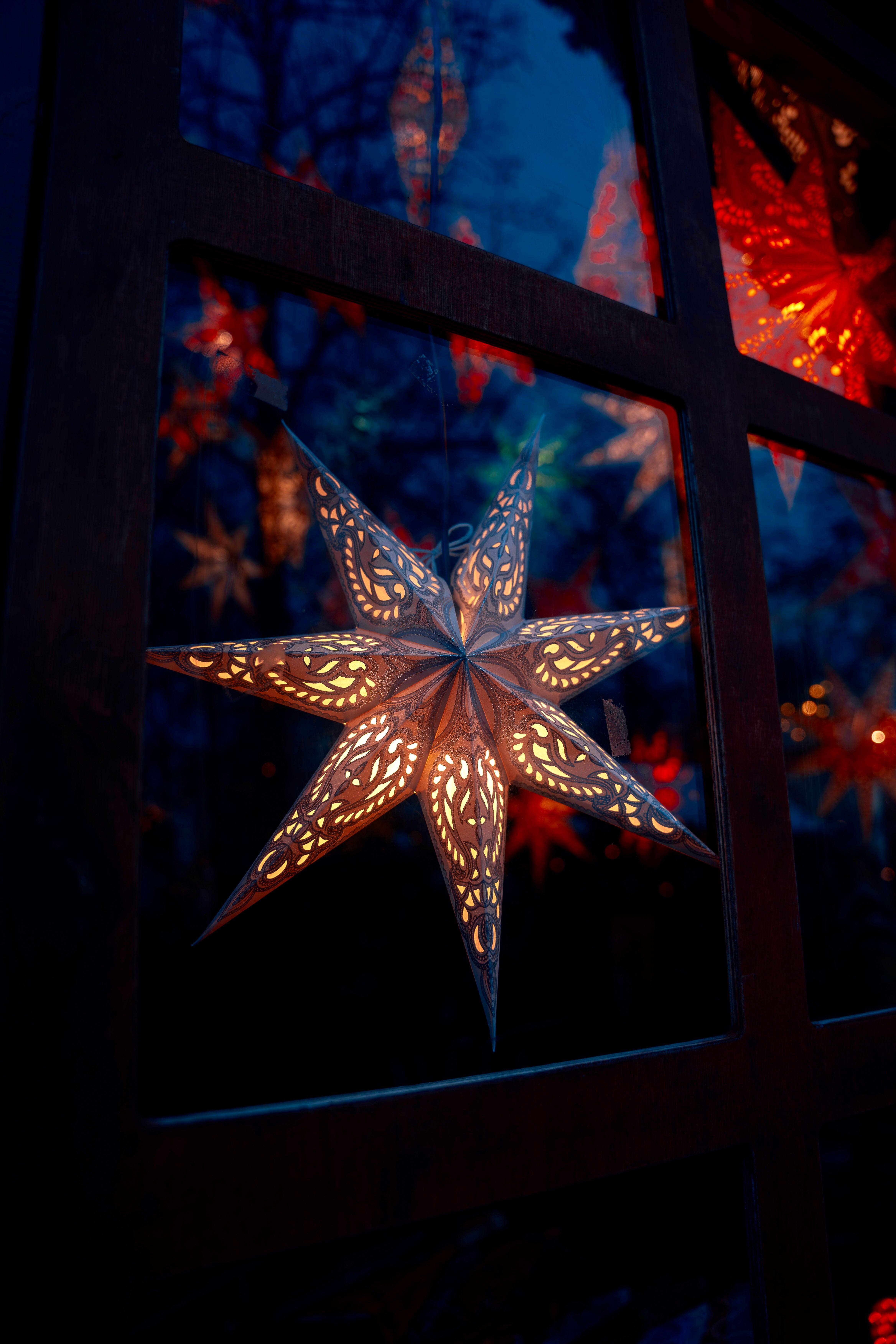 6.000+ Weihnachtsstern Bilder und Fotos  Kostenlos Downloaden  Pexels  Stock-Fotos