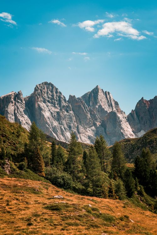 Free Stunning view of a mountain range with lush trees in a sunny landscape. Stock Photo