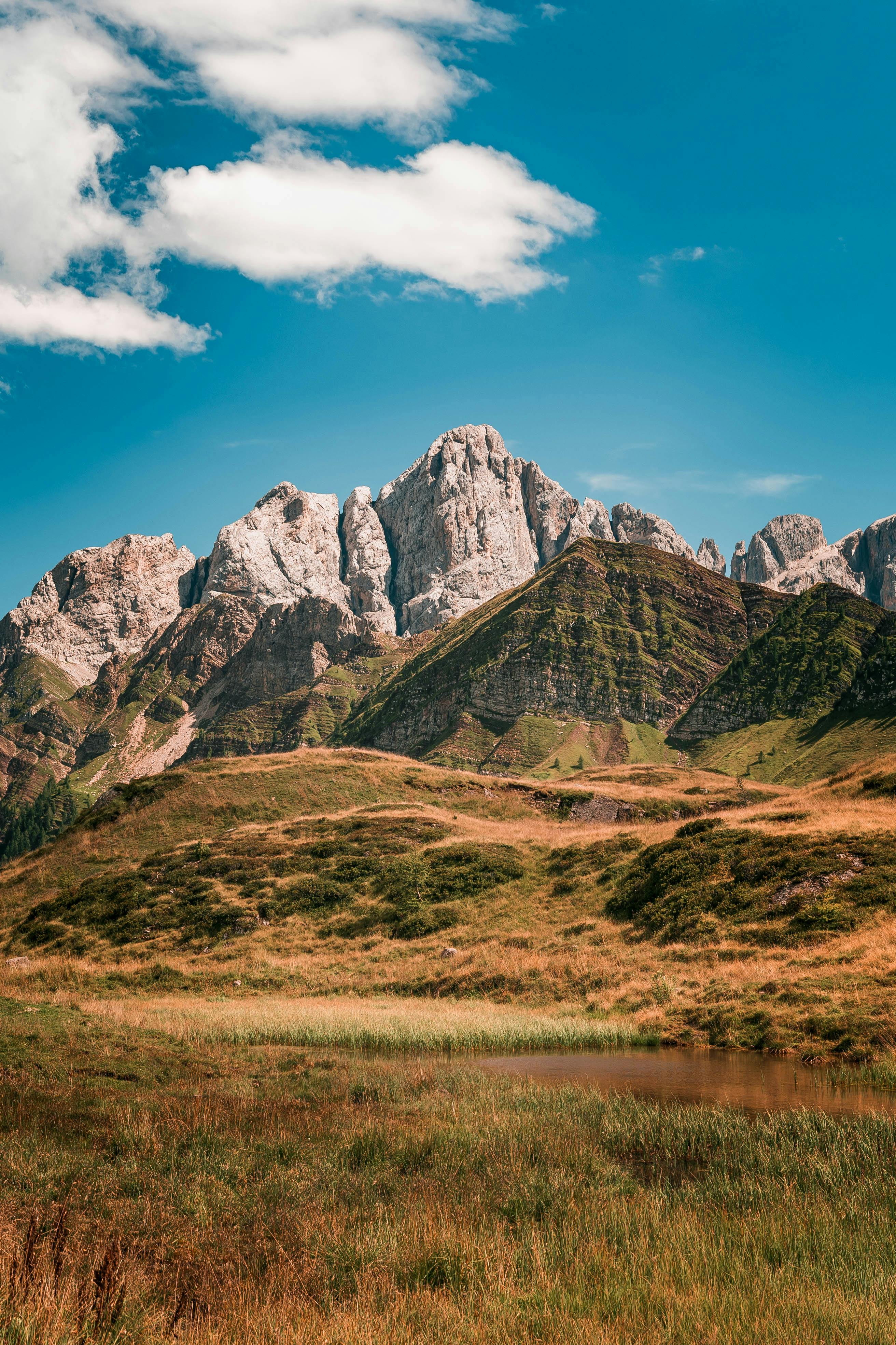 العلوم التربوية