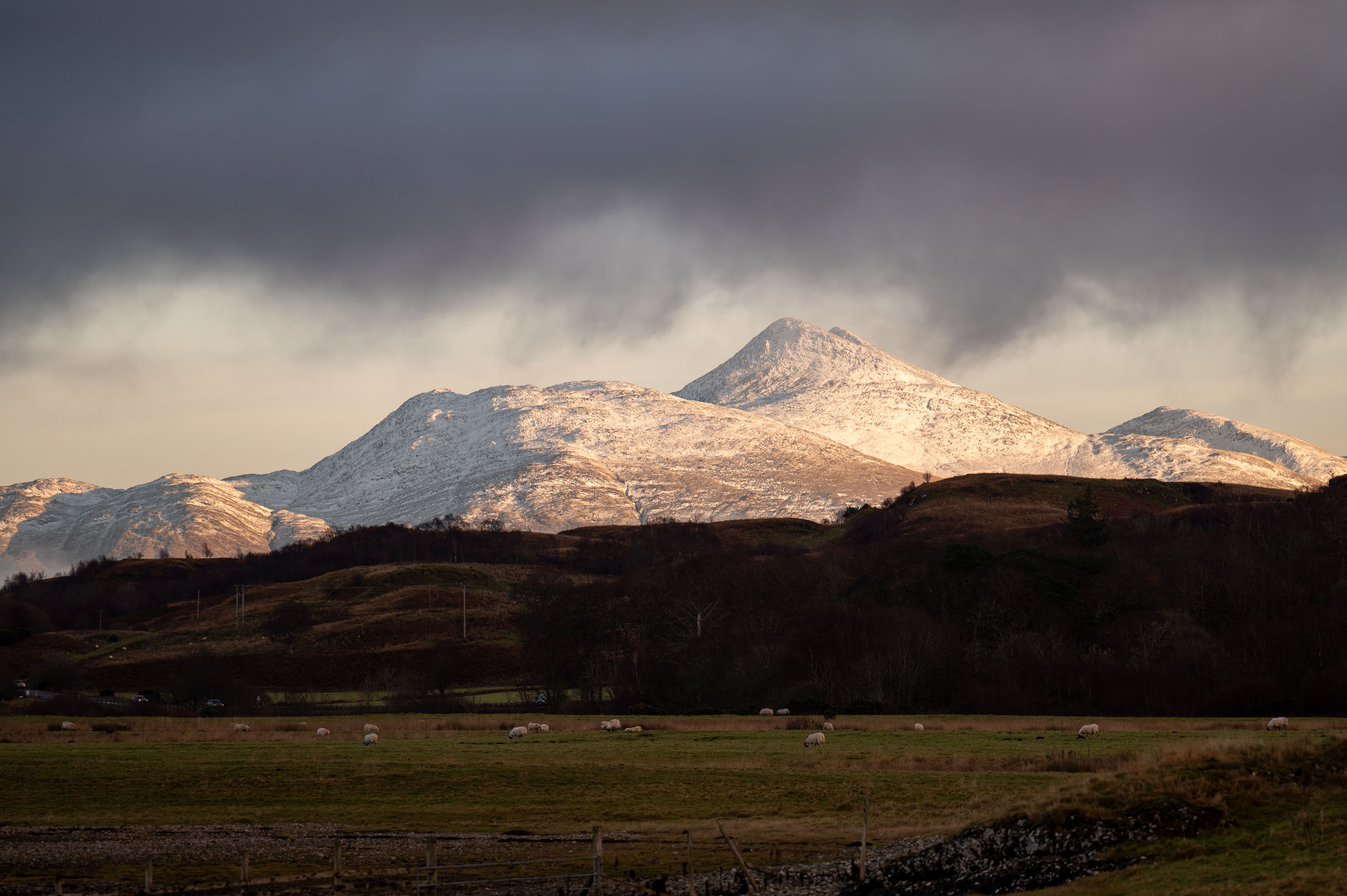 Snow-capped peaks rising above winter grazing fields under a dark sky