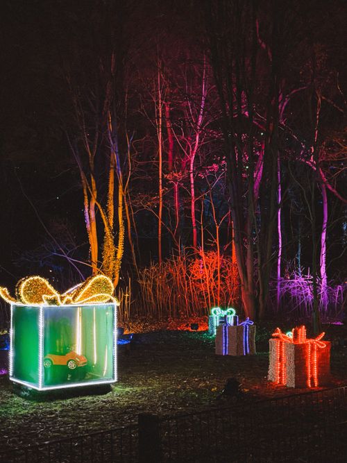 Free Vibrant Christmas light display in Berlin's Tierpark Zoo featuring colorful gifts and illuminated trees. Stock Photo