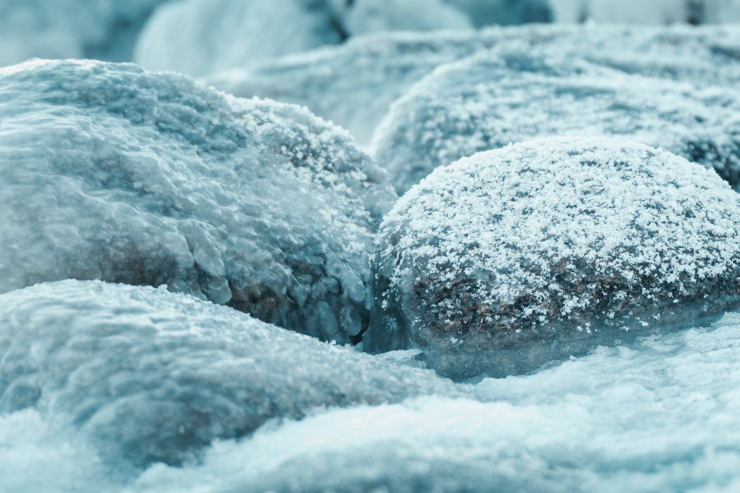 Cold Environment Photos, Download The BEST Free Cold Environment Stock ...