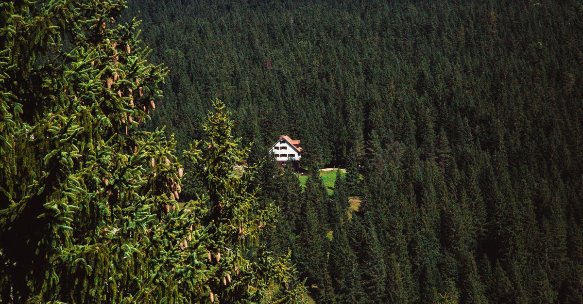 House in the Middle of Trees · Free Stock Photo