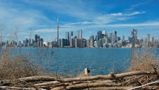 Toronto Skyline with CN Tower View