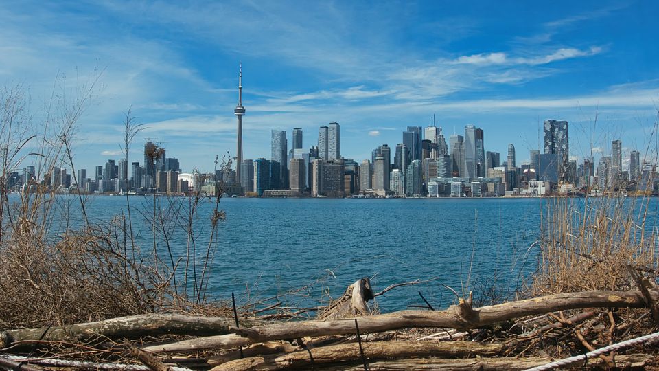 in Toronto