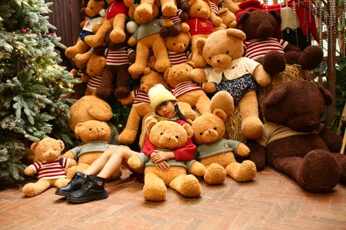 Free Young woman surrounded by teddy bears in a warm Christmas setting in Hội An, Vietnam. Stock Photo