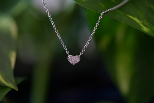 Free A delicate silver heart necklace gracefully hangs amidst lush green leaves. Stock Photo