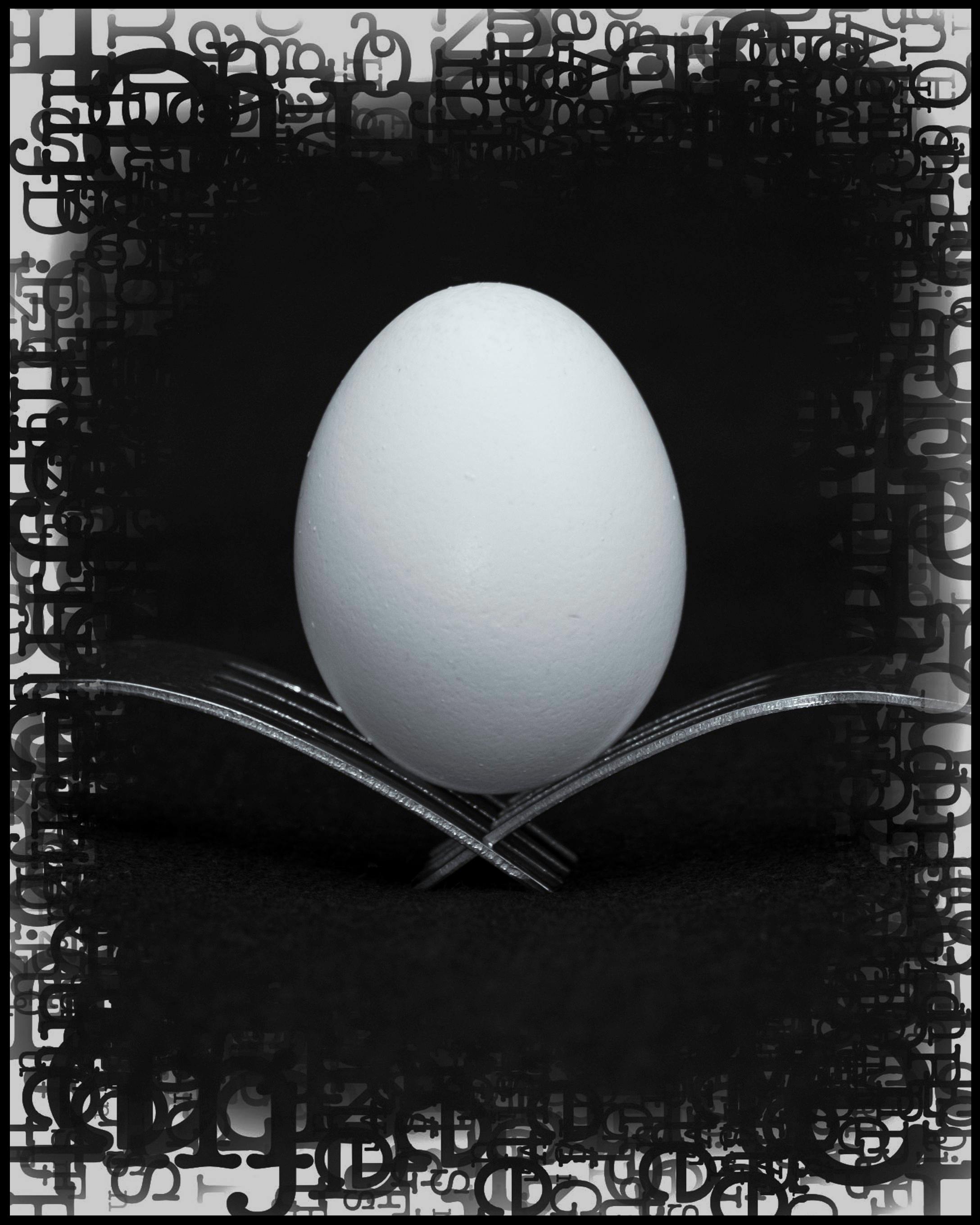 Free stock photo of egg, still life, stylish