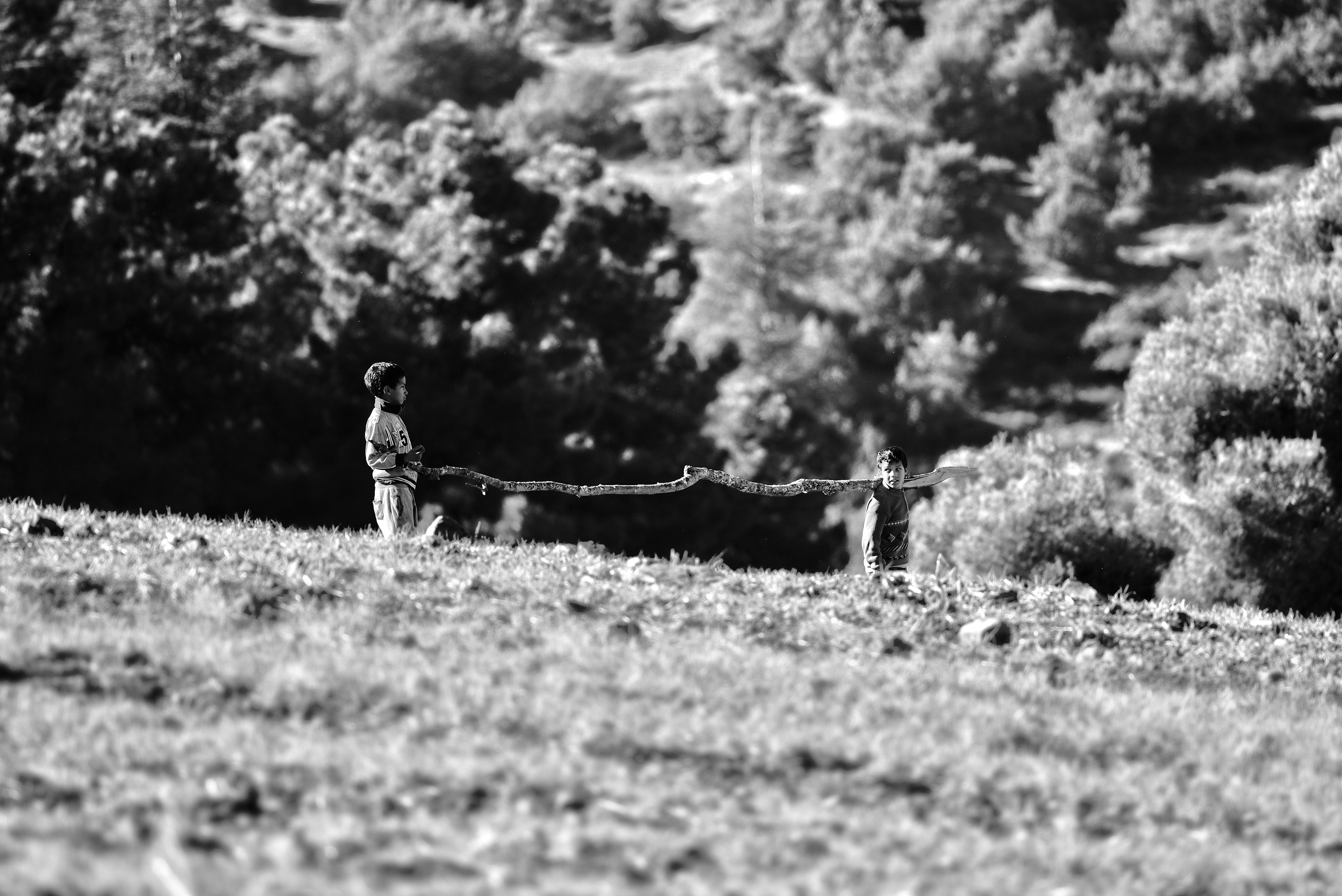 Azrou, Morocco - travel photo