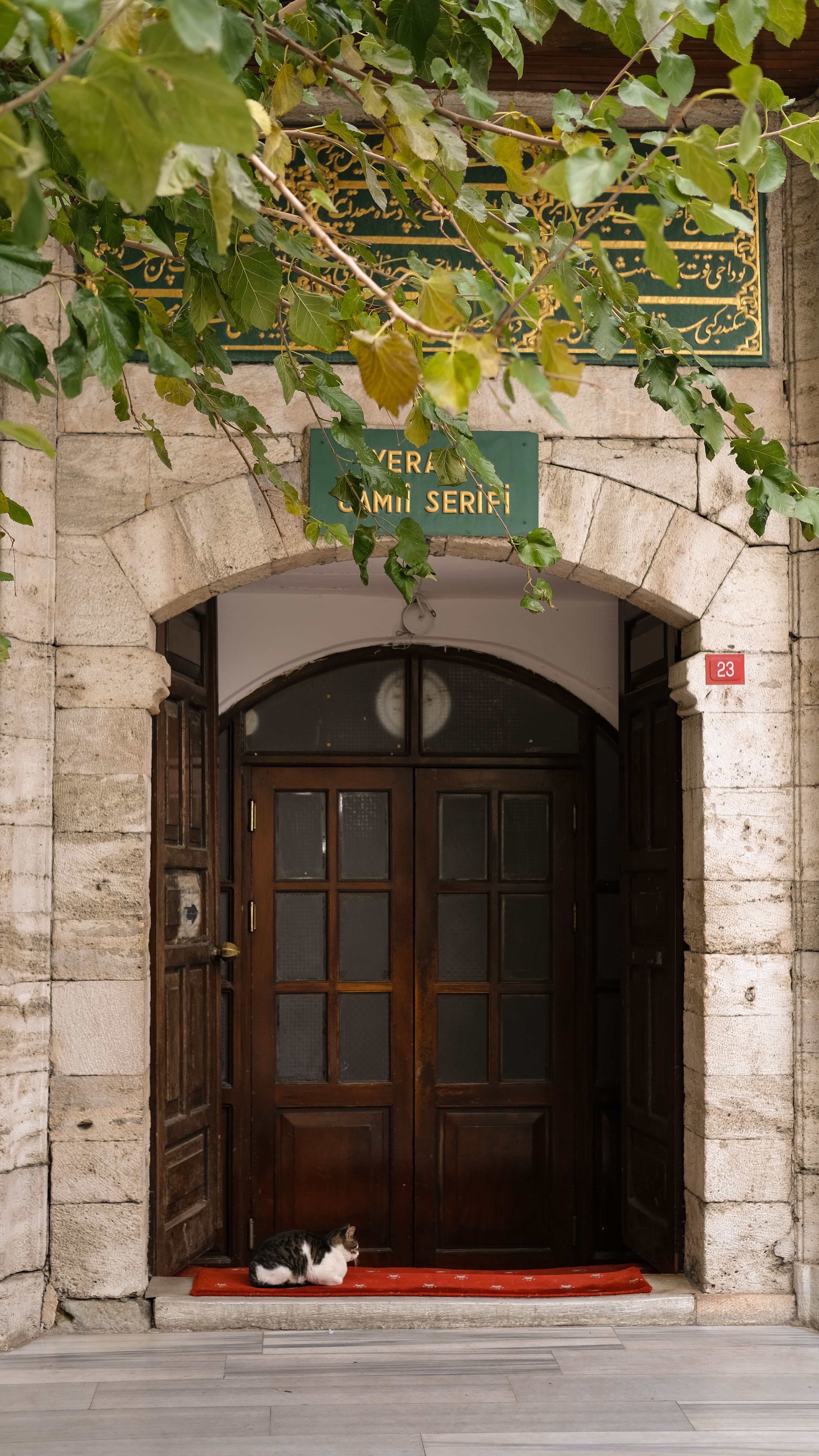 A peaceful cat rests outside a historic mosque entrance in Istanbul, Türkiye.