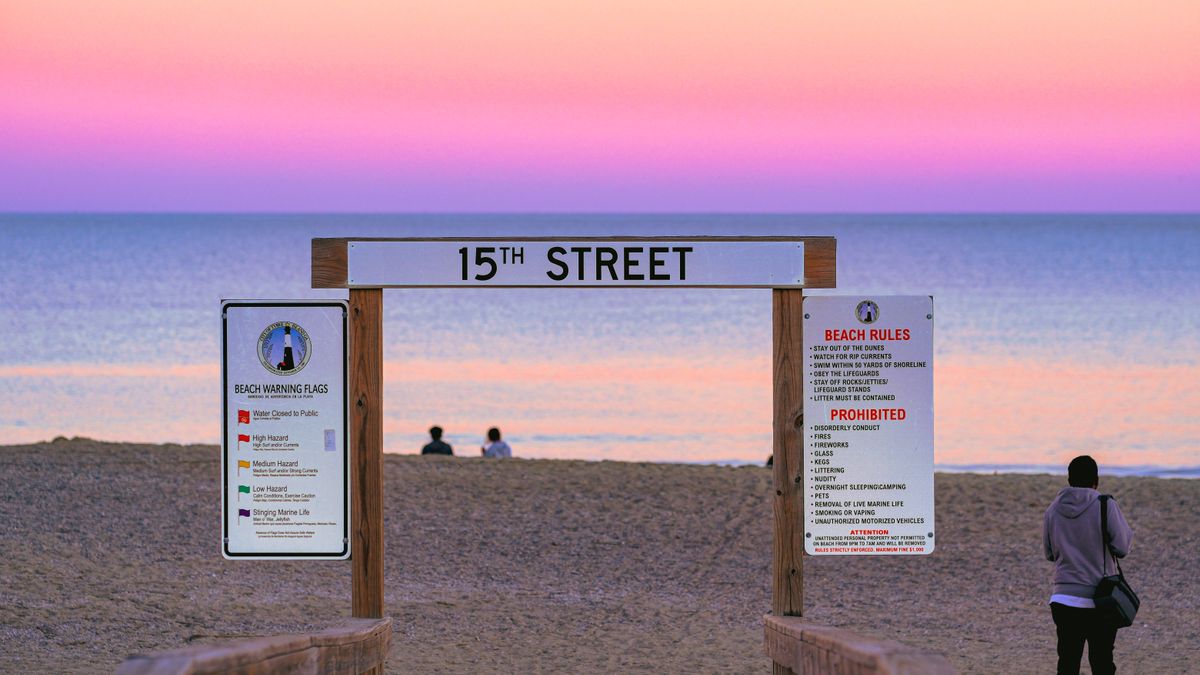 Virginia Beach, VA Pet Product Giveaways Near Me: Where to Find Legit Deals