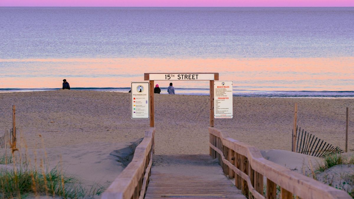 Pet Product Giveaways in Virginia Beach, VA: Updated 2026 List for Local Winners