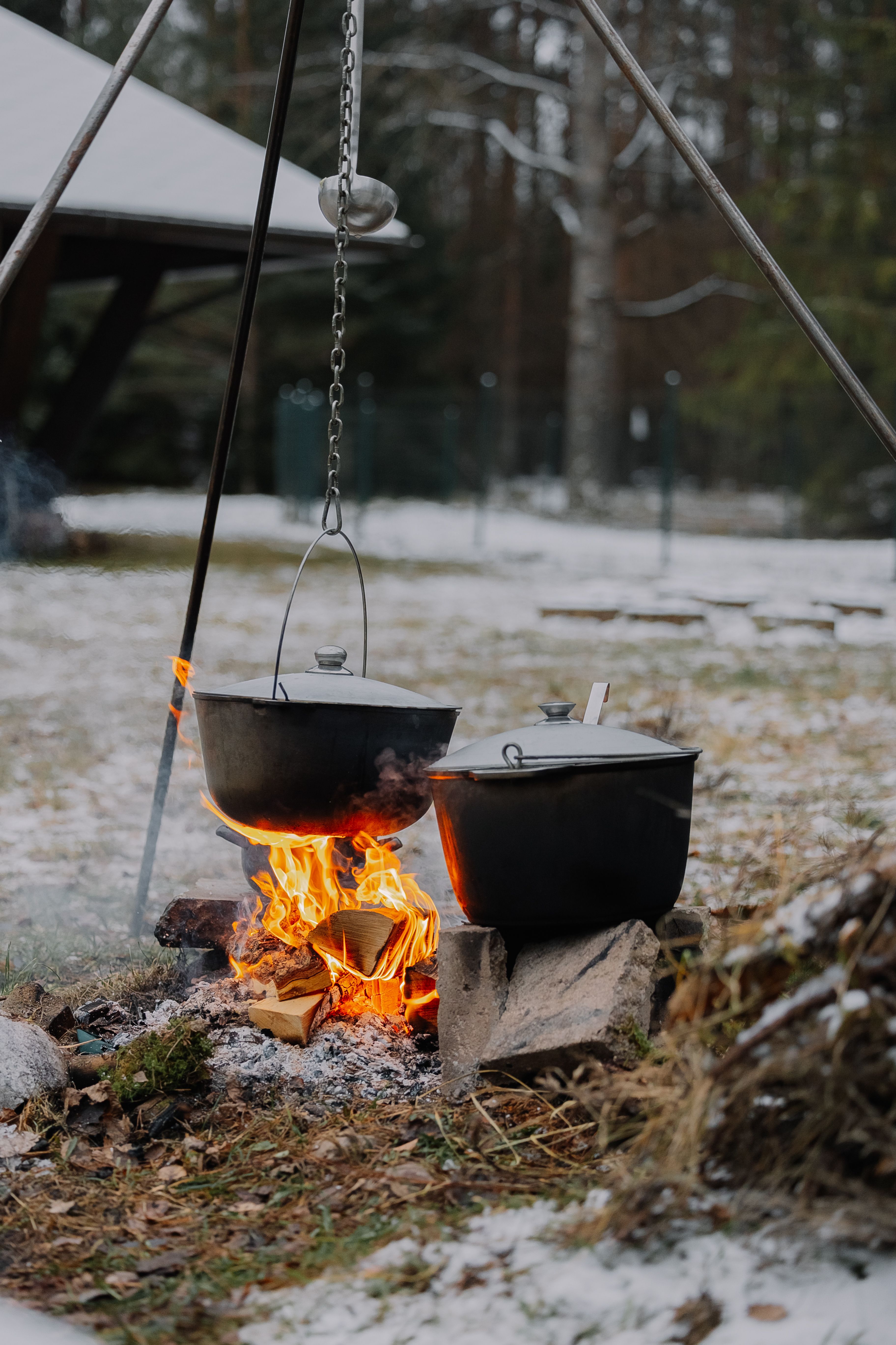 Winter Outdoor Cooking with Hanging Pot Over Fire · Free Stock Photo