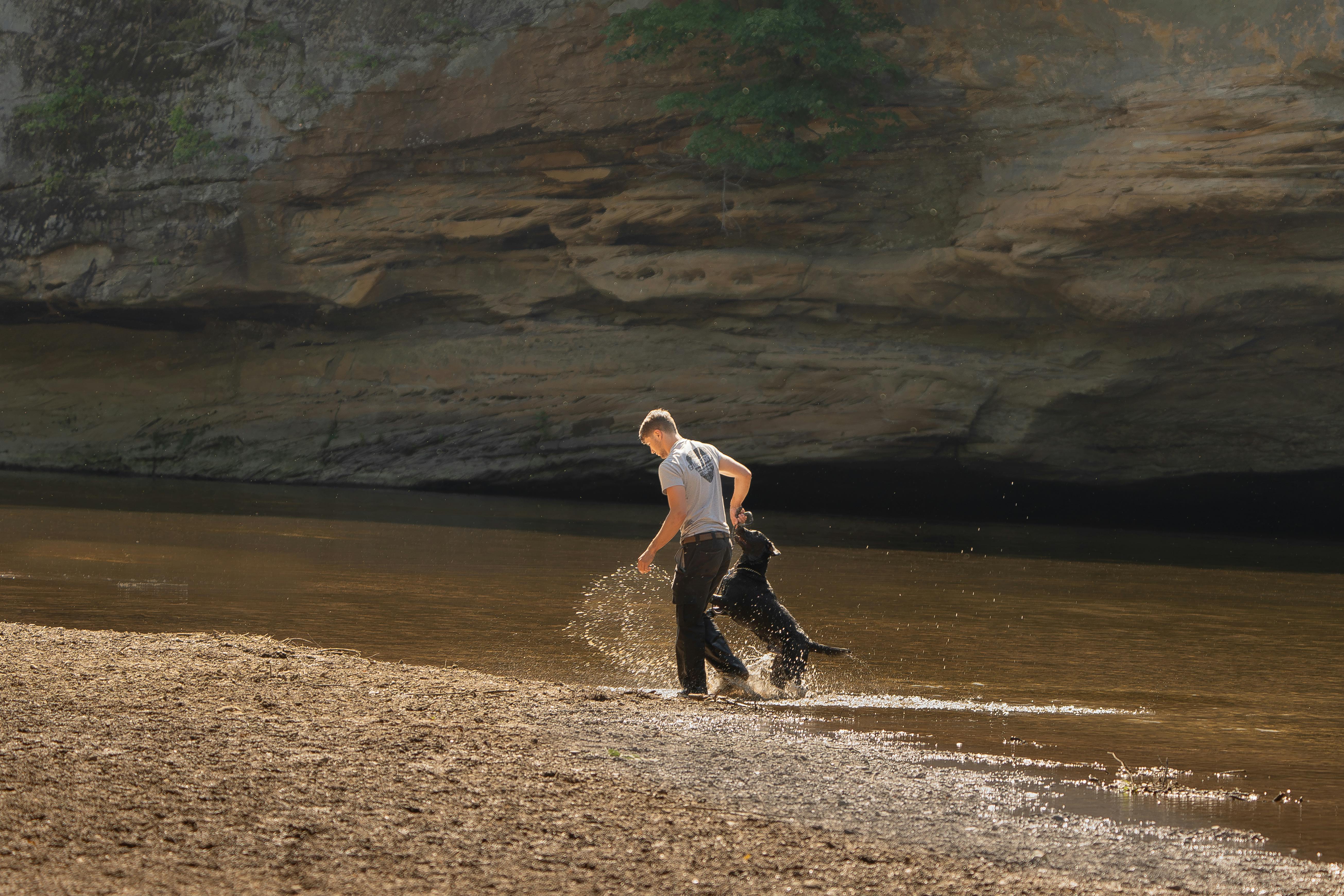 dog-friendly park in River North - river north pet-friendly apartments