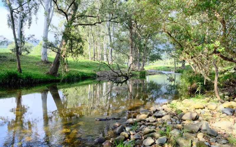 Big Horse Creek Swimming Hole