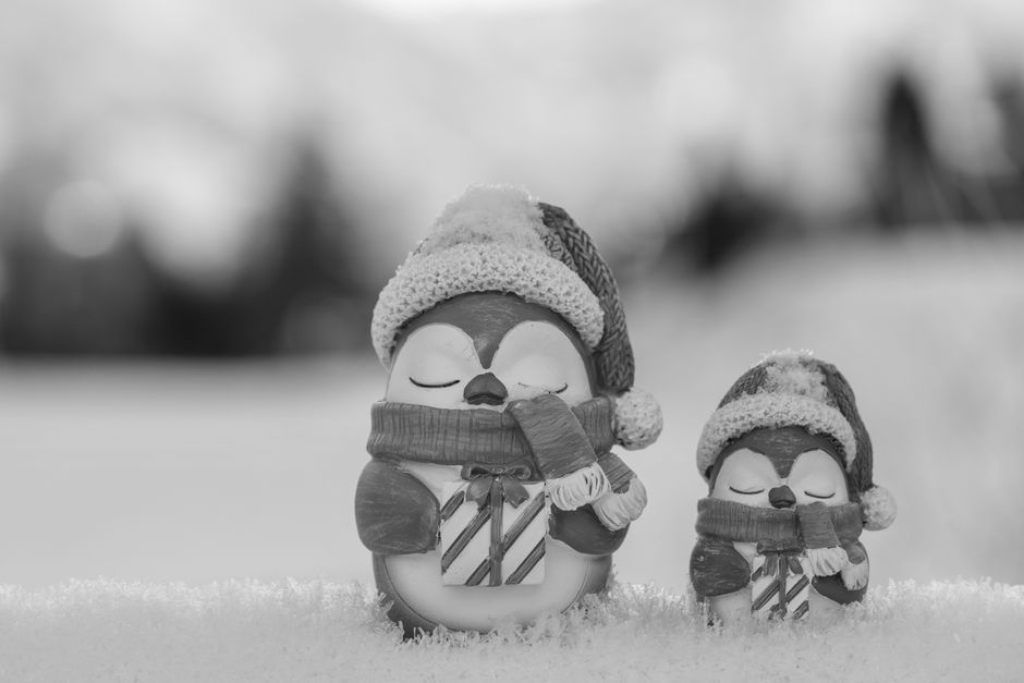 Levendige pinguïnprint voor gezellige winterdecoratie Levendige pinguïnprint voor gezellige winterdecoratie