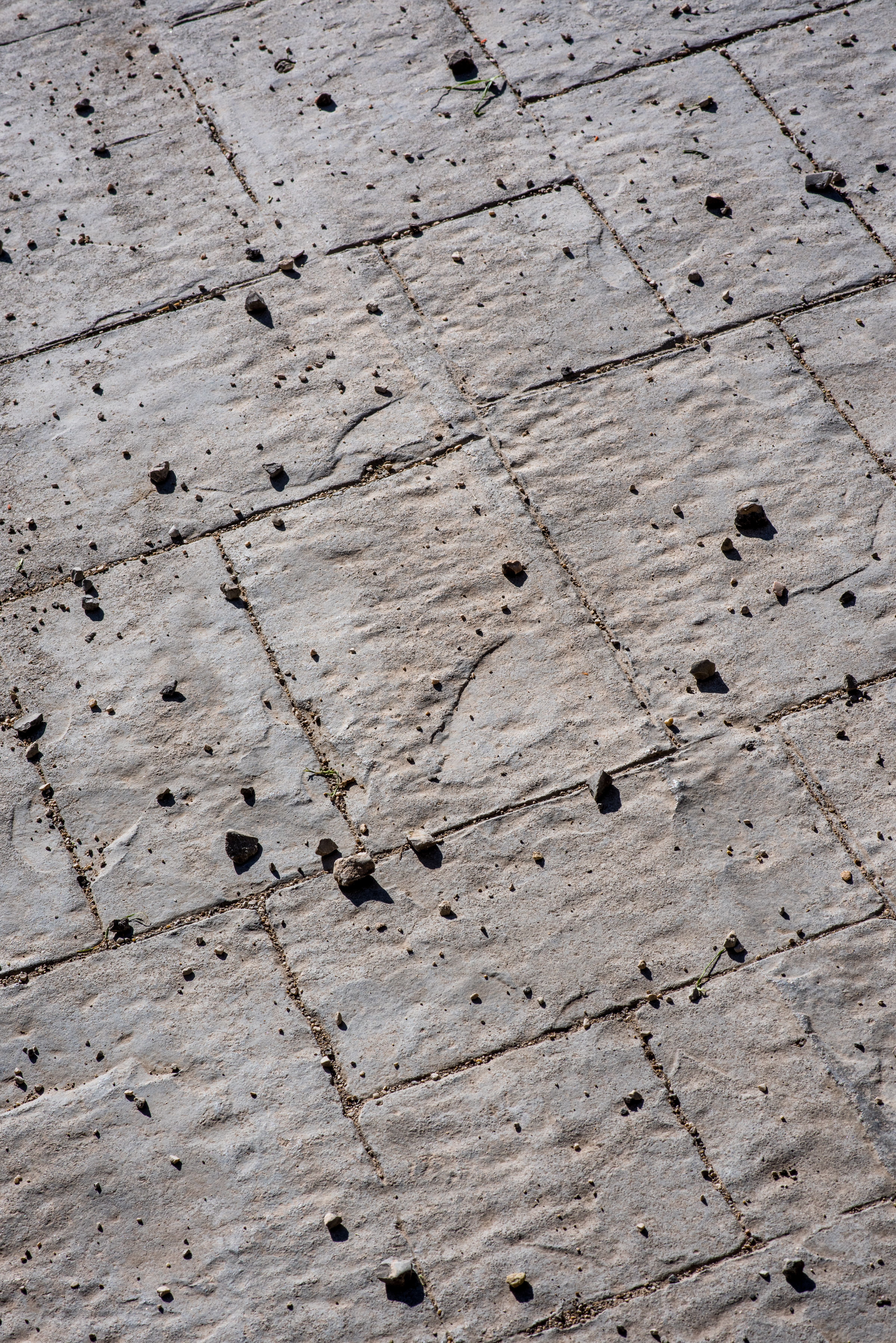 Textured Stone Surface with Dirt Particles · Free Stock Photo