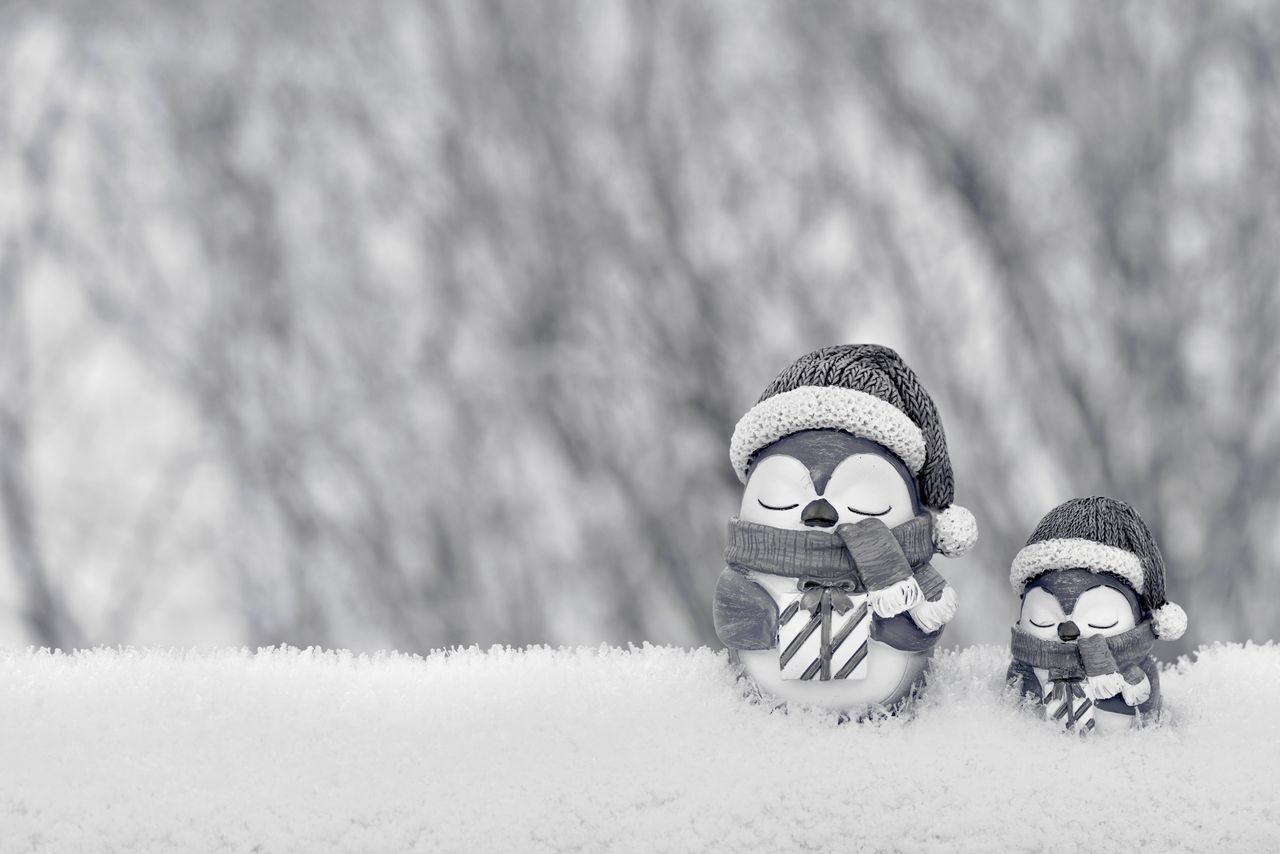 cute penguin figurines in winter hats and scarves on a snowy backgroun