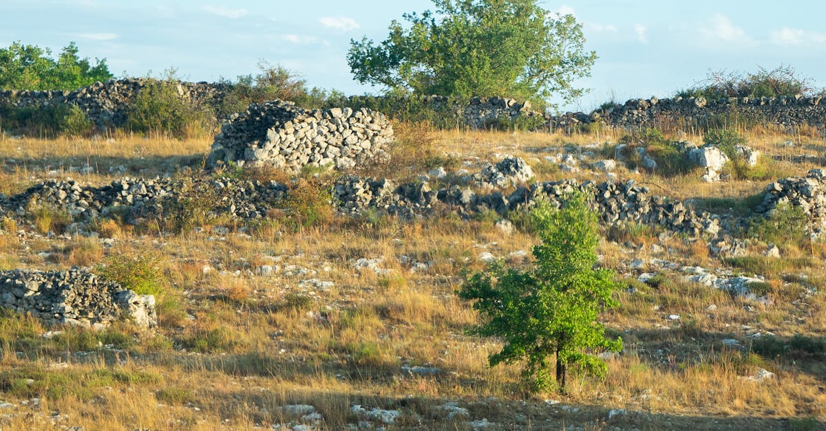 Scenic Rural Landscape in Bari, Italy · Free Stock Photo