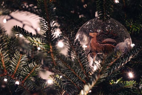 Free Close-up of a reindeer ornament amidst pine branches with warm holiday lights. Stock Photo