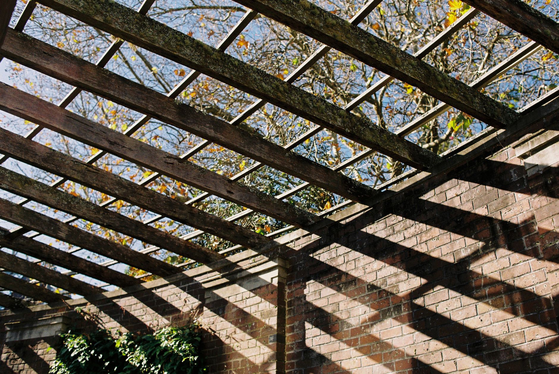 Rustic pergola creates striking shadows on brick wall under clear sky in Auckland, New Zealand.