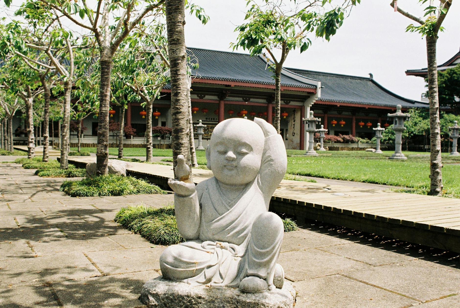 Oceania Arts