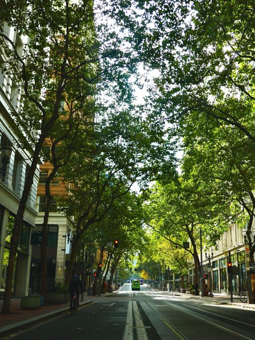 Free Charming street view with lush green trees in a serene Oregon town. Stock Photo