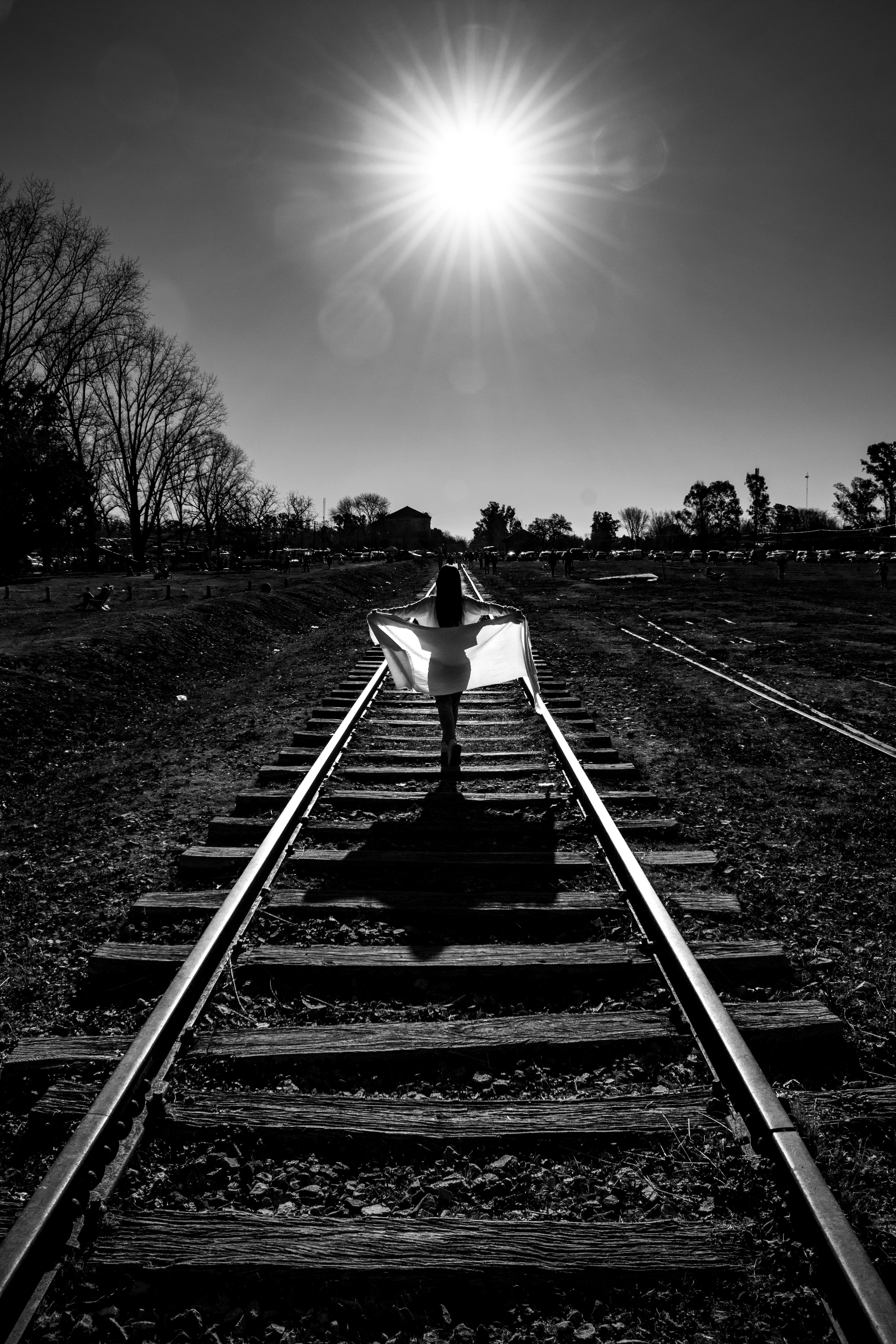Fotomural Fotolia