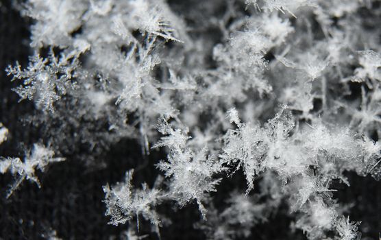 Detailed macro shot of delicate and intricate snowflake formations on a dark background.