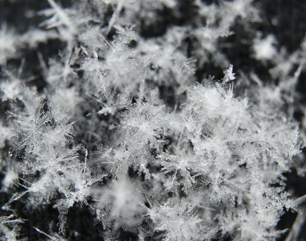Intricate snowflakes captured up close, showcasing unique patterns and textures.
