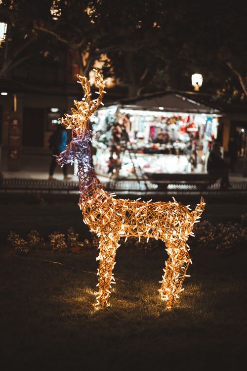 Free Outdoor reindeer Christmas light decoration glowing warmly in the evening. Stock Photo