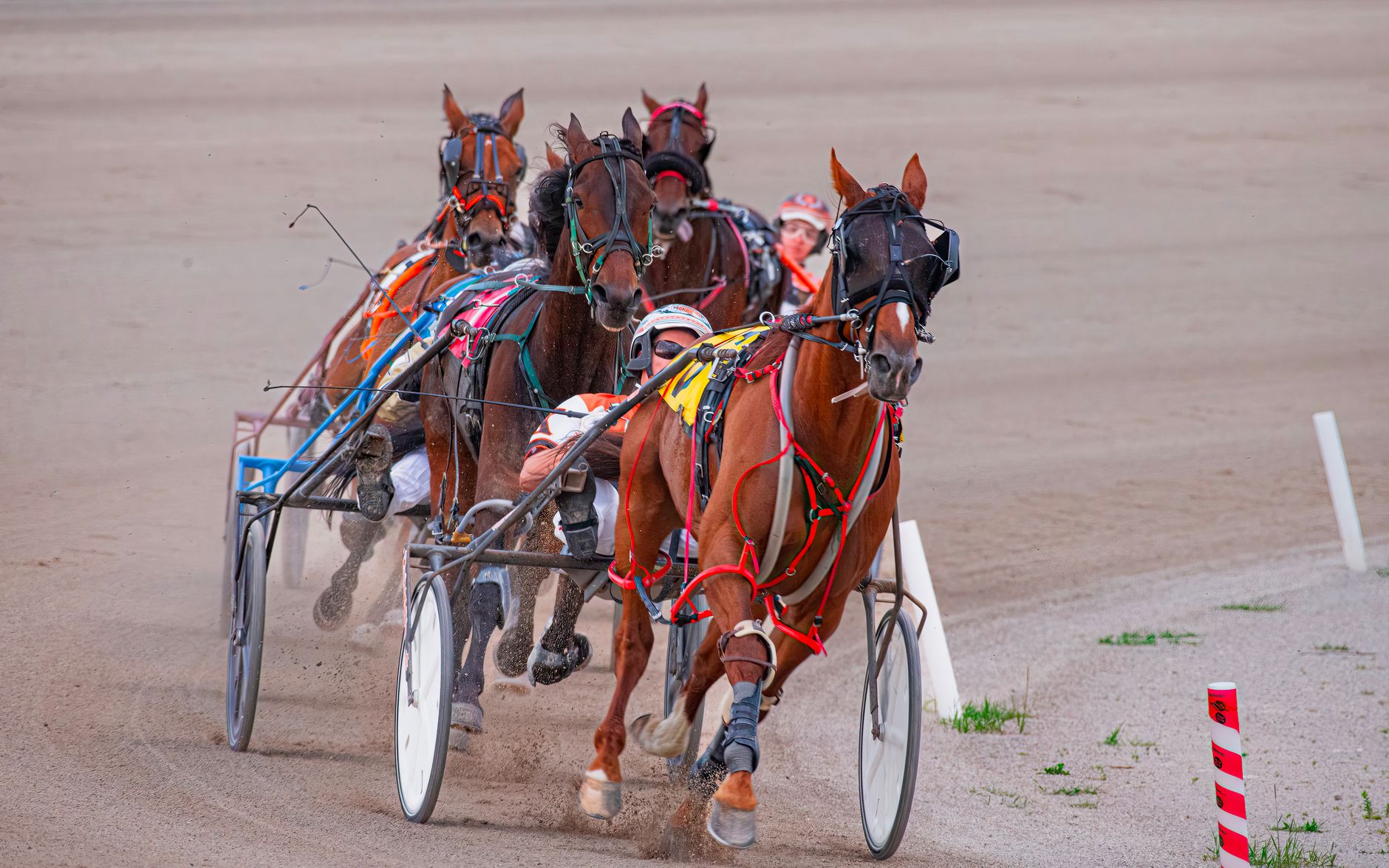 Harness racing event with horses and jockeys on a sandy racetrack.