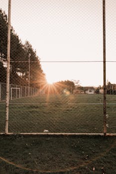 Sunrise casting warm light on an empty soccer field surrounded by trees.