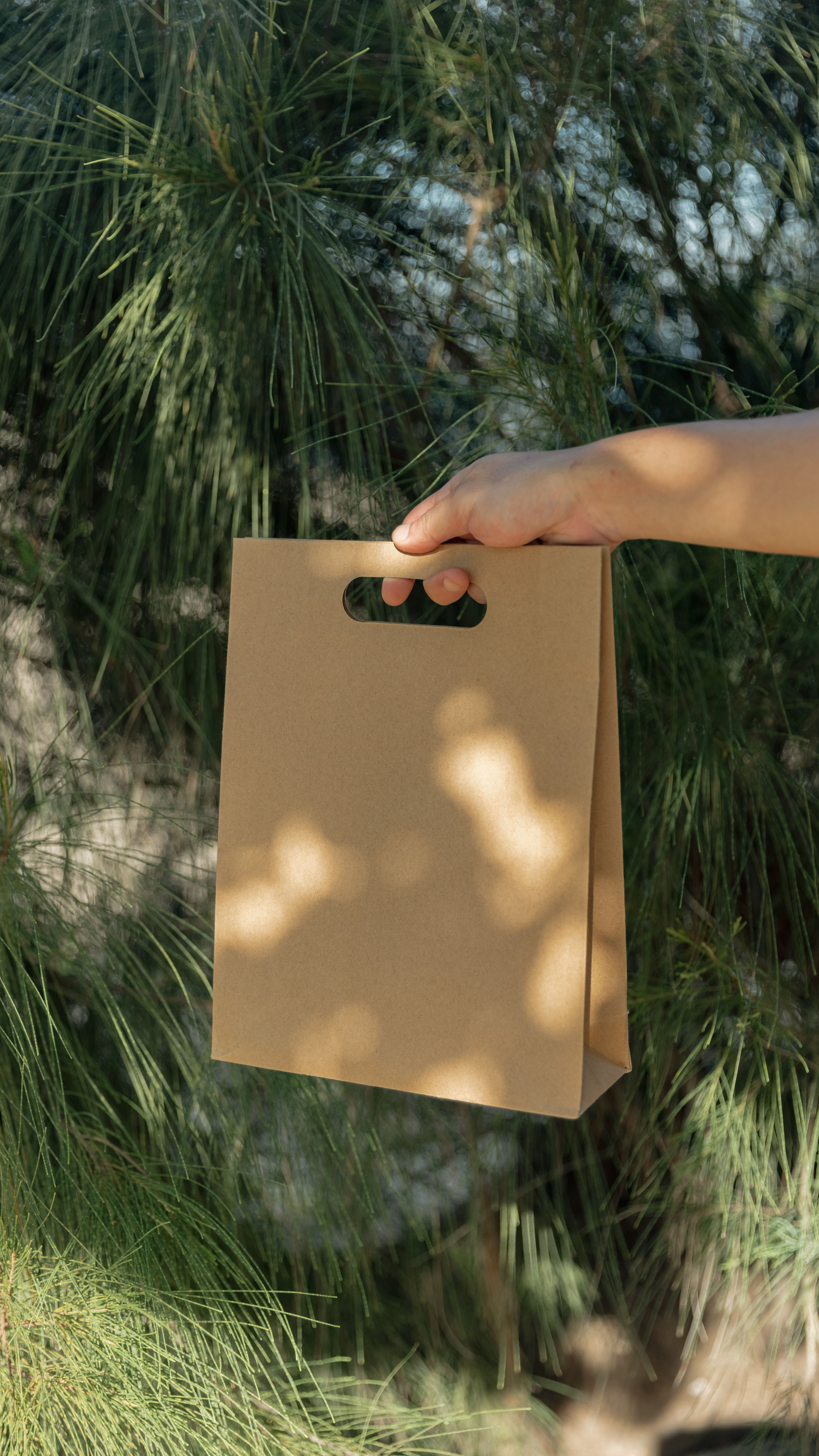 Hand Holding Brown Paper Bag Outdoors · Free Stock Photo