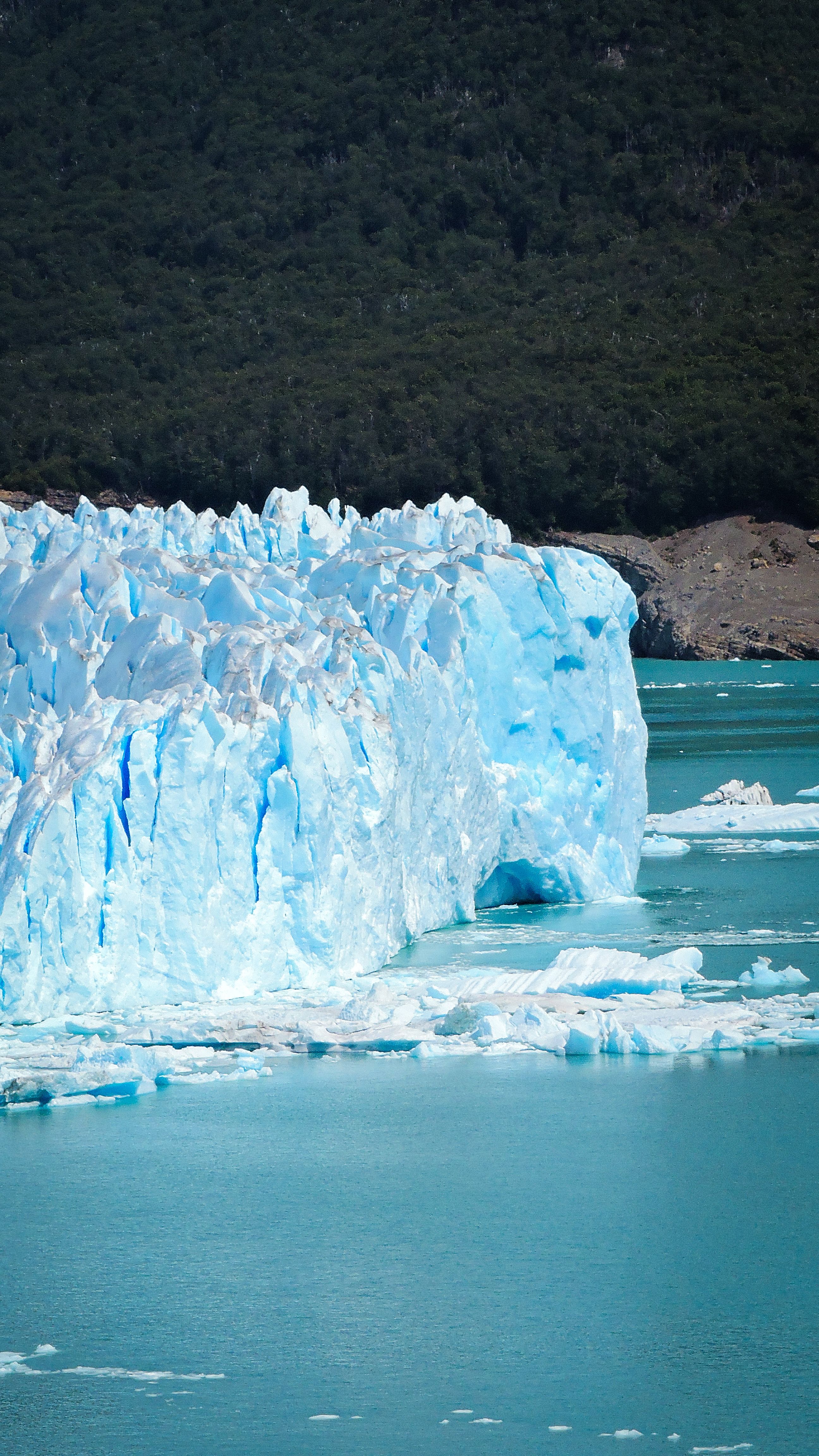 Fotomural Glaciar de hielo dramático en agua turquesa clara rodeado de exuberante vegetación.