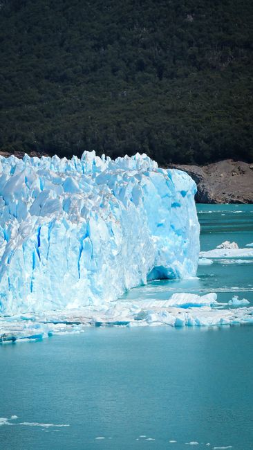 Fotomural Glaciar de hielo dramático en agua turquesa clara rodeado de exuberante vegetación.
